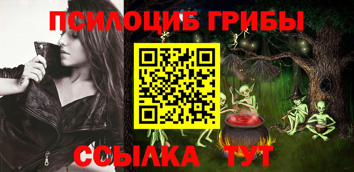 Псилоцибиновые грибы Psilocybe  Вход с VPN  Чебоксары  дарнет шоп  Галлюциногенные грибы мухоморы 