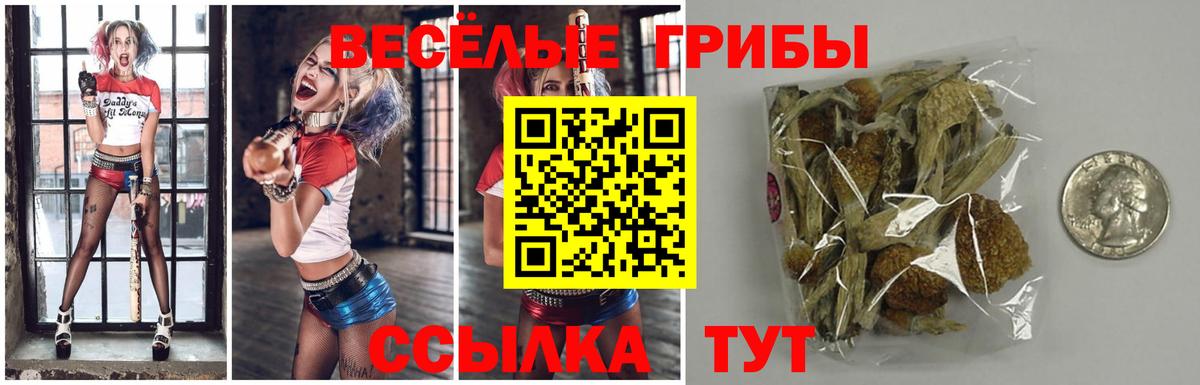 Псилоцибиновые грибы ЛСД Чебоксары